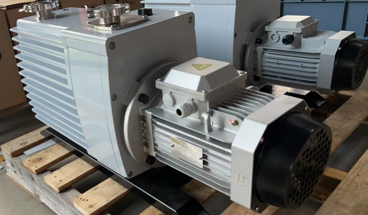 Rotary vane vacuum pump